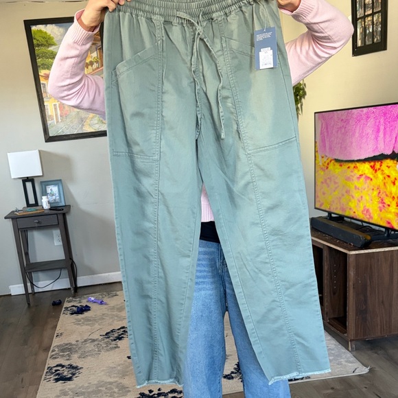 Universal Thread Sage Green Drawstring Utility Pants - Picture 2 of 6